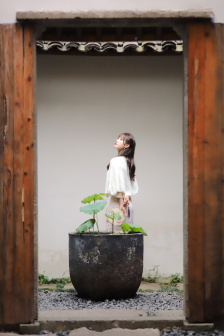 启示2006